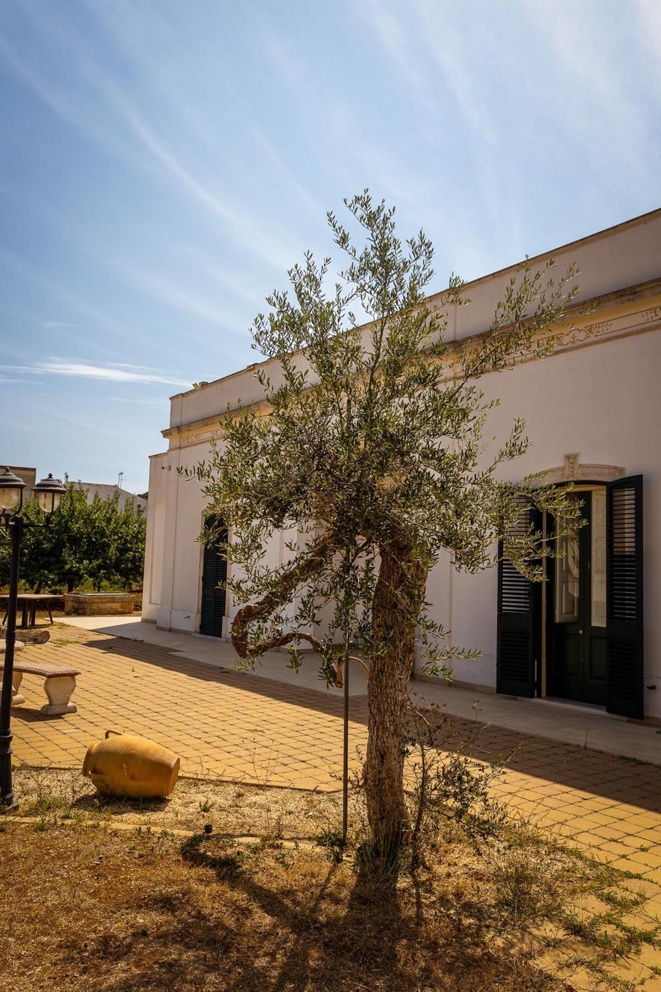 Affittacamere Giardino Delle Zie-Vicino Ospedale Cardinale Panico Триказе Екстериор снимка